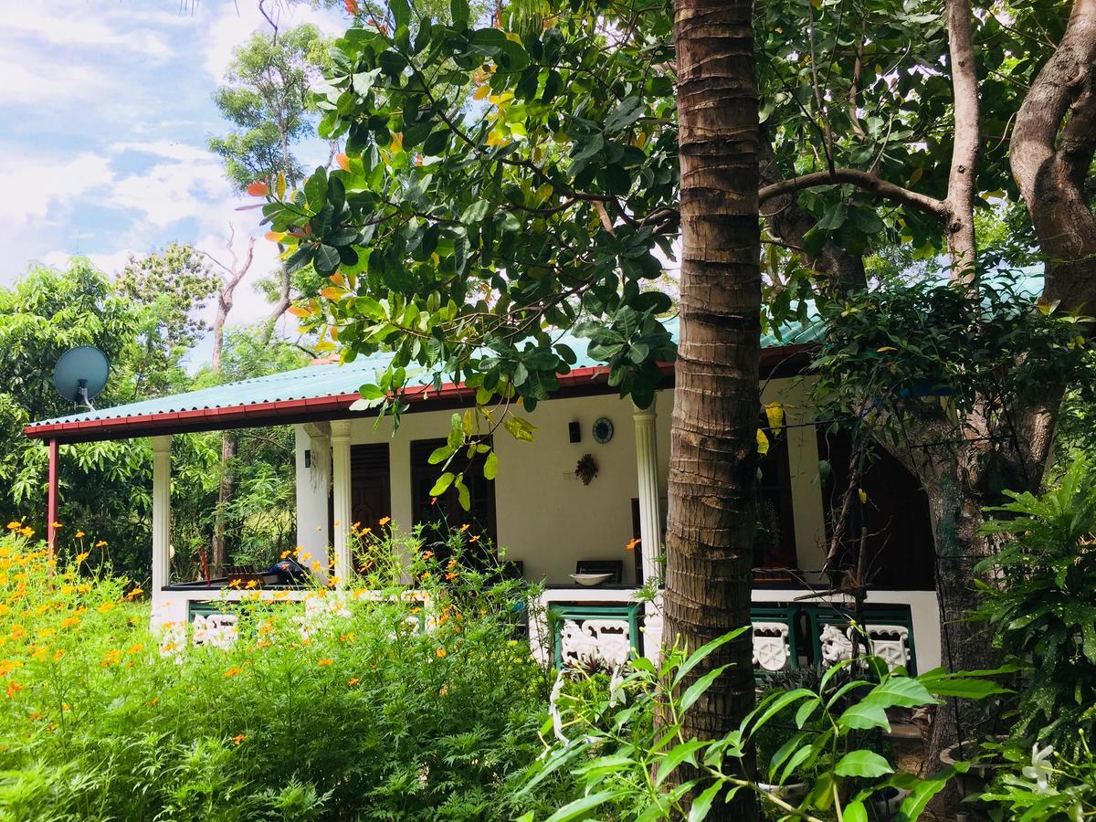 Sigiri Saman Home Stay Sigiriya Exterior photo