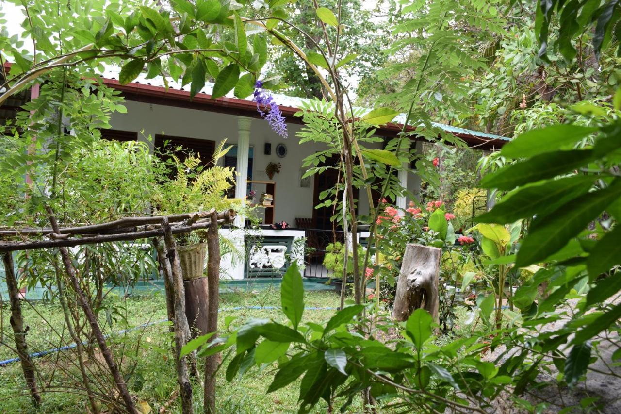 Sigiri Saman Home Stay Sigiriya Exterior photo