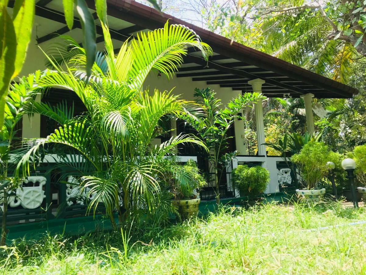 Sigiri Saman Home Stay Sigiriya Exterior photo